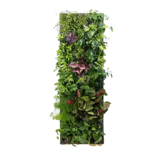 Pflanzenwand Beispiel 1