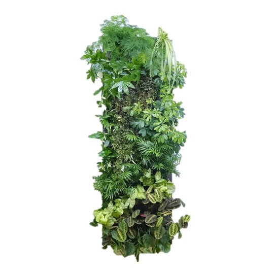 Pflanzenwand Beispiel 3