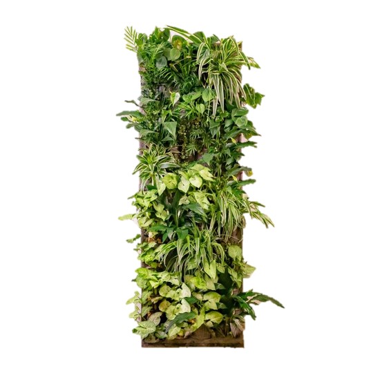 Pflanzenwand Beispiel 4